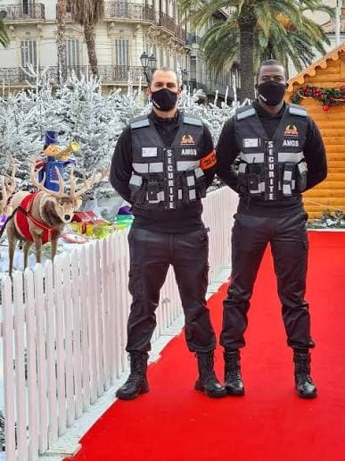 Agent de Sécurité Pro